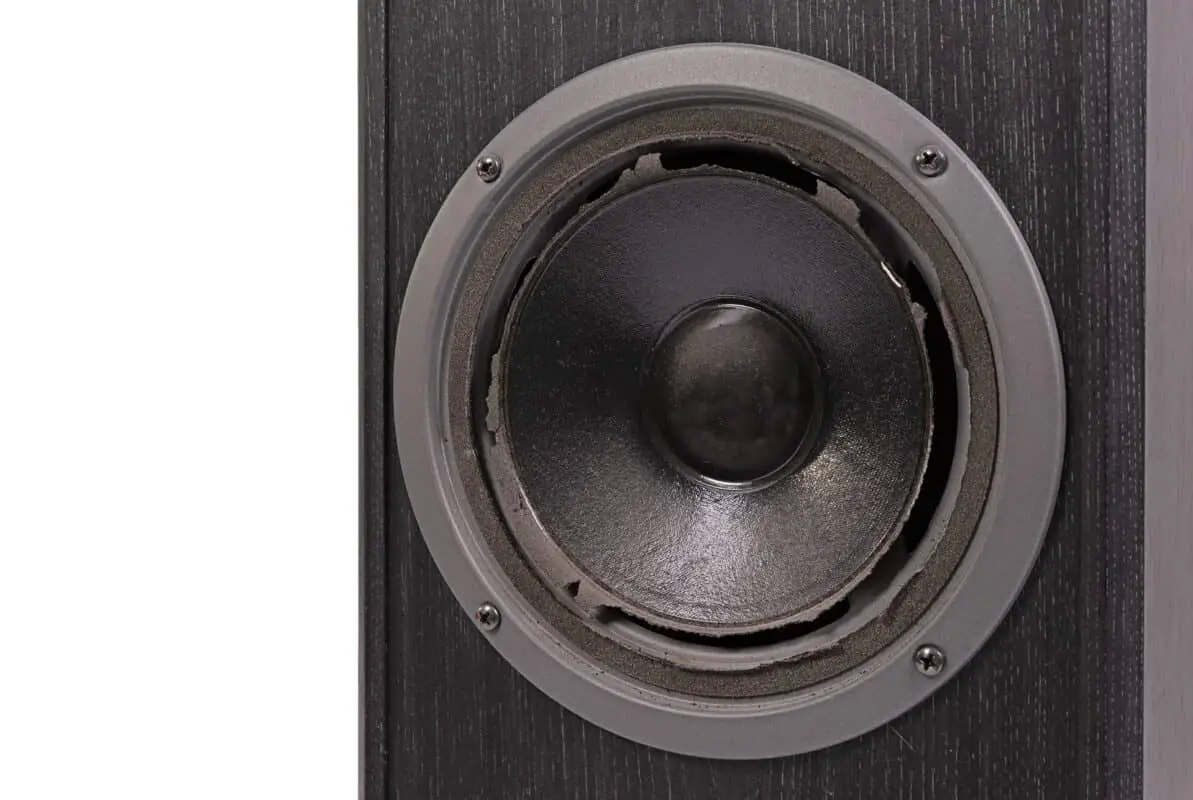 Surround Sound Have Static - Damaged Speakers